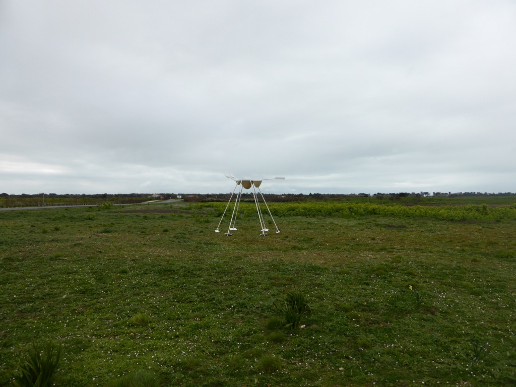 L'Ami des Sauniers des Fujak