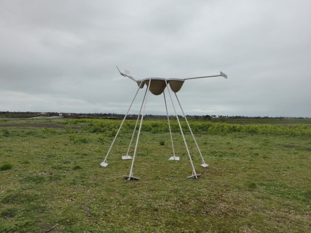 L'Ami des Sauniers - Les Fujak