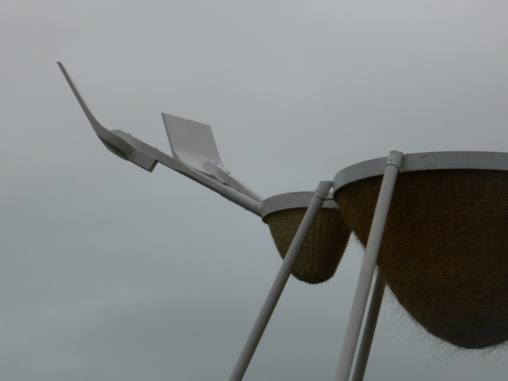 L'Ami des Sauniers des Fujak