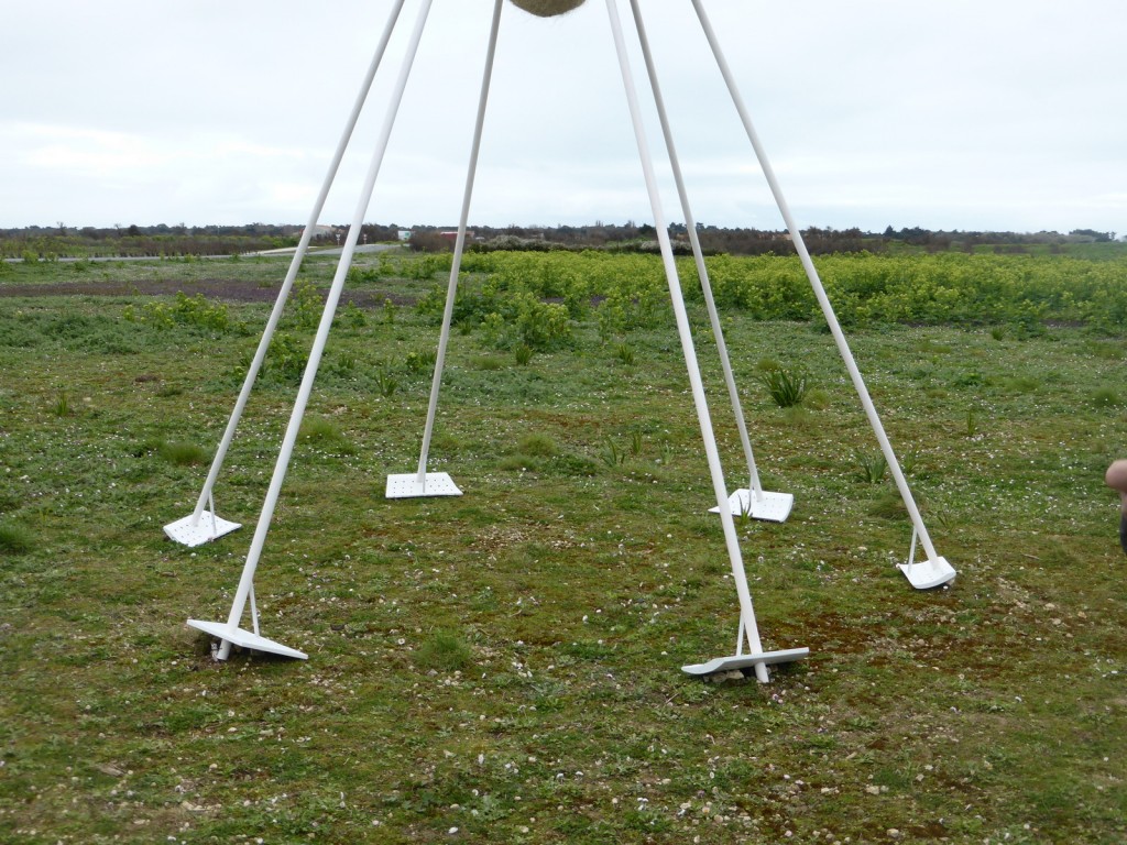 L'Ami des Sauniers des Fujak