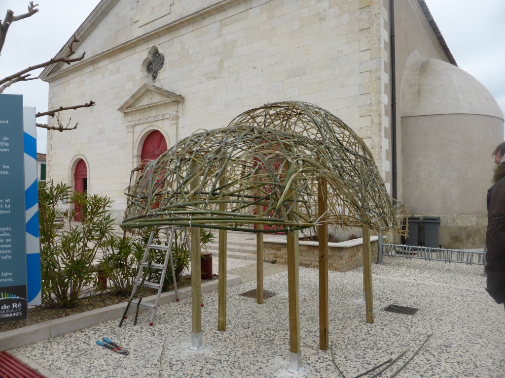 Coléoptère, le nouveau modèle de Karin Van Der Molen