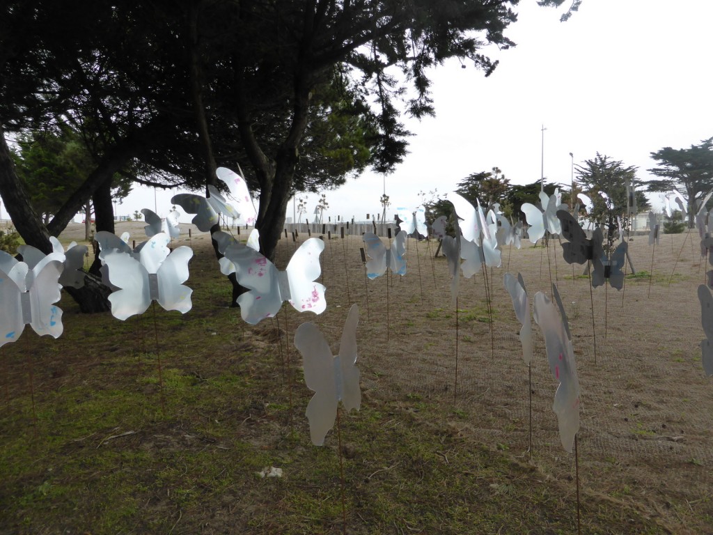 Nuée de Michel Chauvel