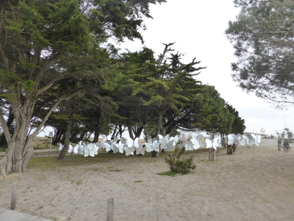 Nuée - Michel Chauvel