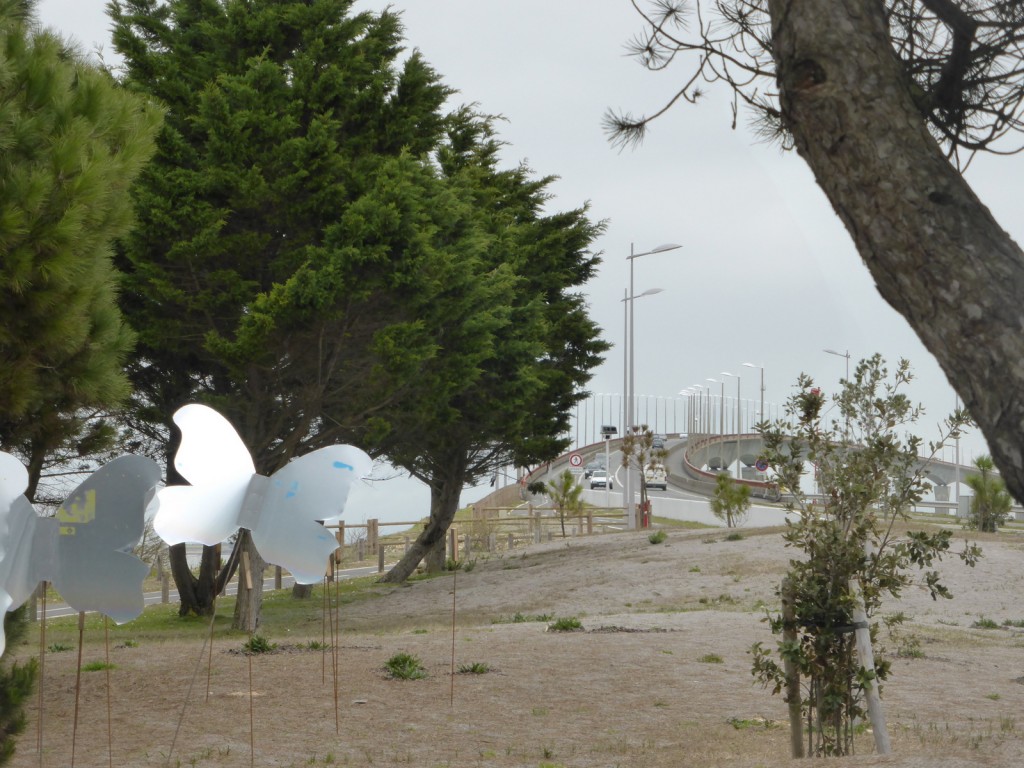 Nuée de Michel Chauvel