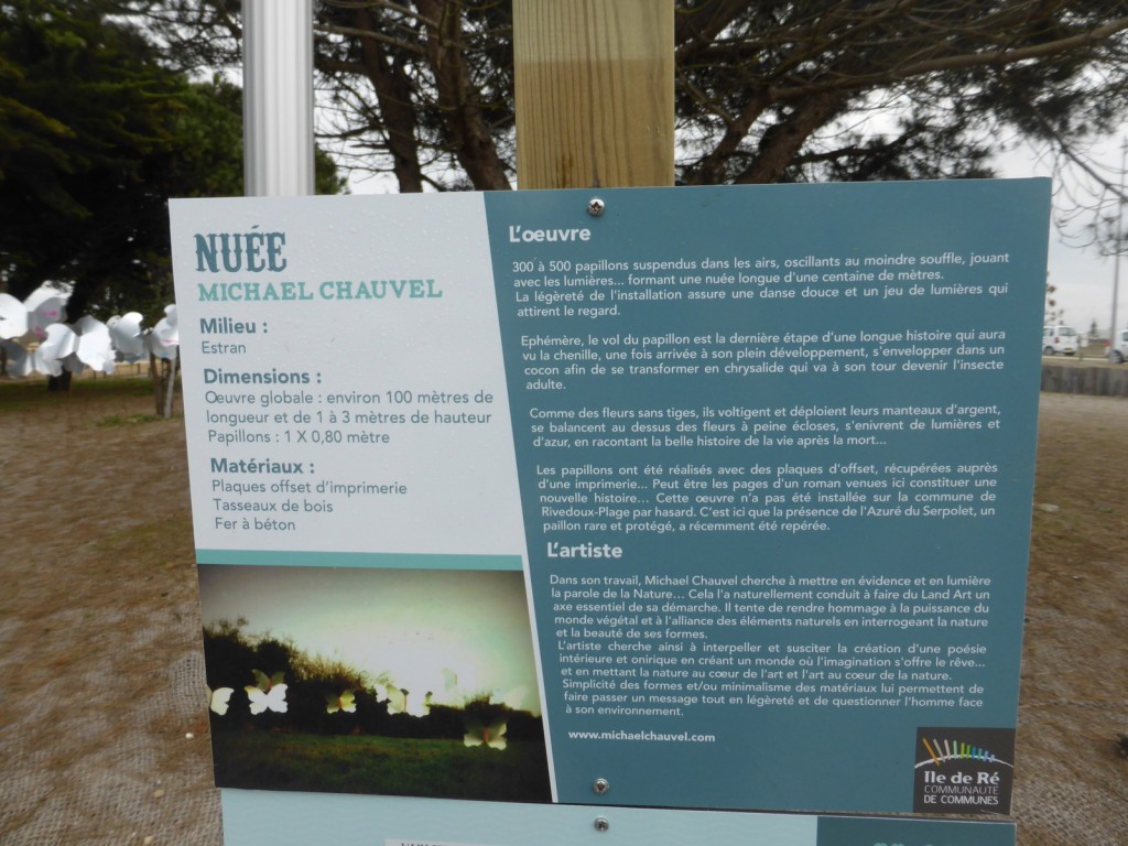 Nuée de Michel Chauvel