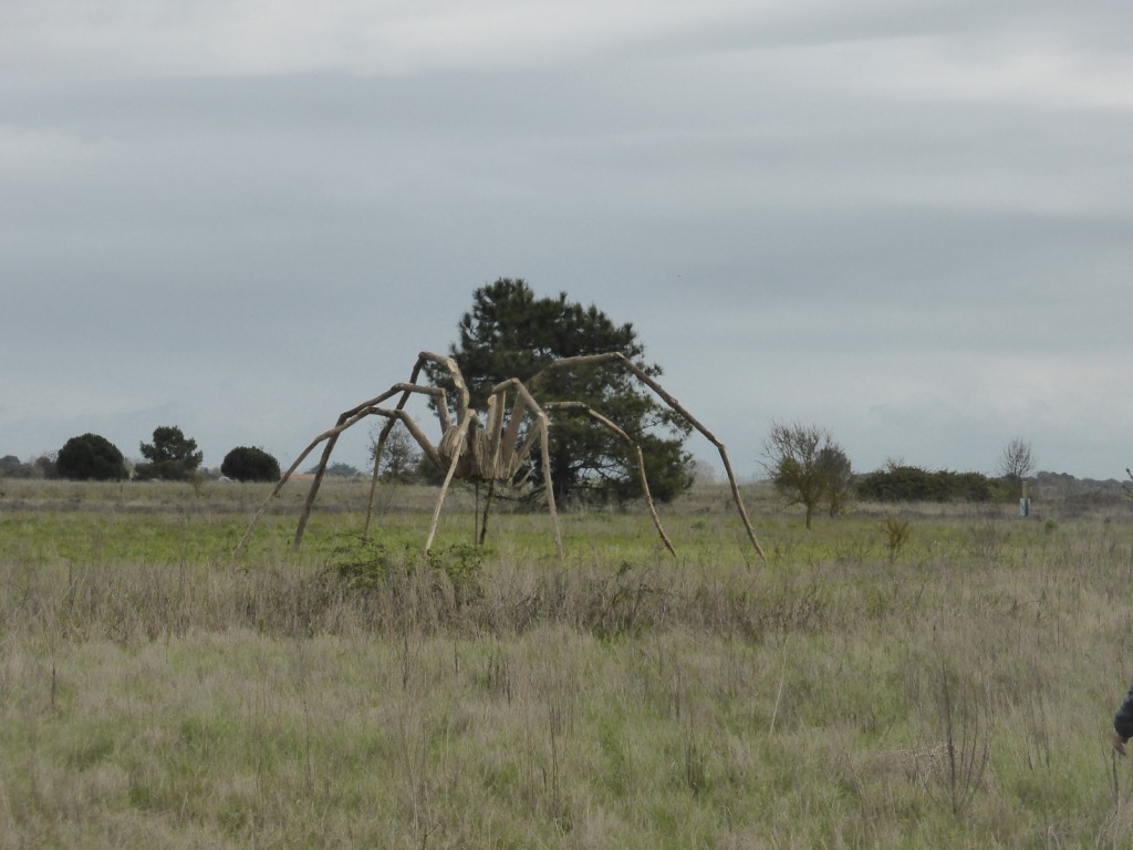 L'Opilione de Matthew Burton