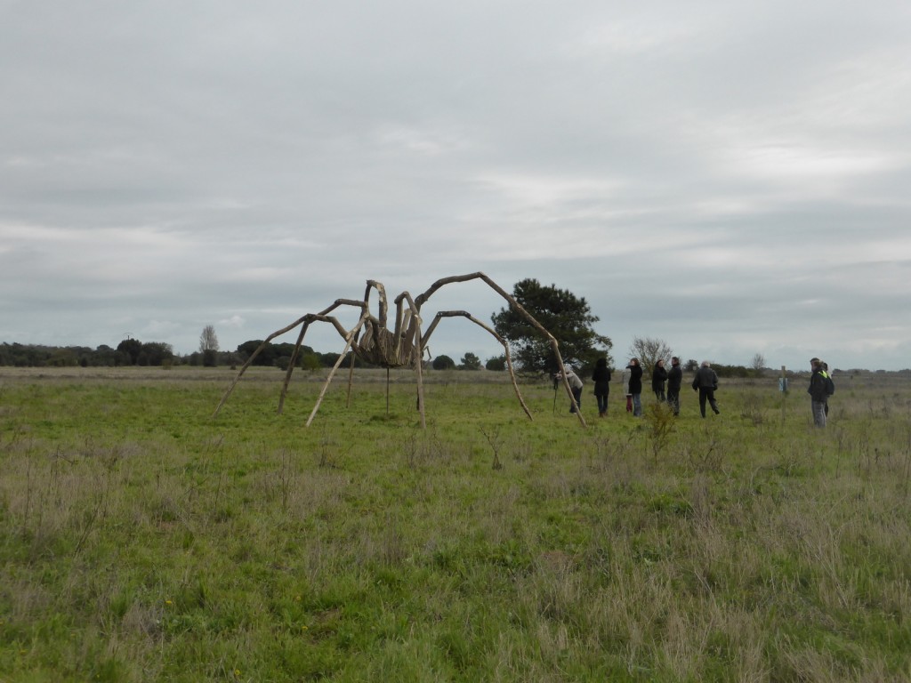 L'Opilione de Matthew Burton - Sainte-Marie de Ré