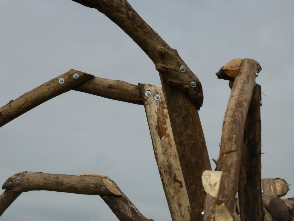 L'Opilione de Matthew Burton