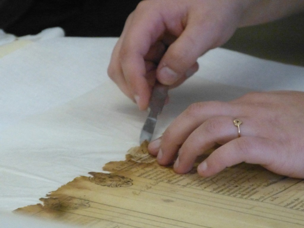 Atelier Quillet - Loix - 30 mai 2015