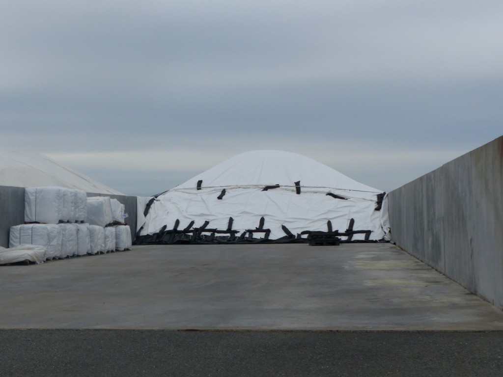 Coopérative des sauniers Ars-en-Ré - Récolte 2015