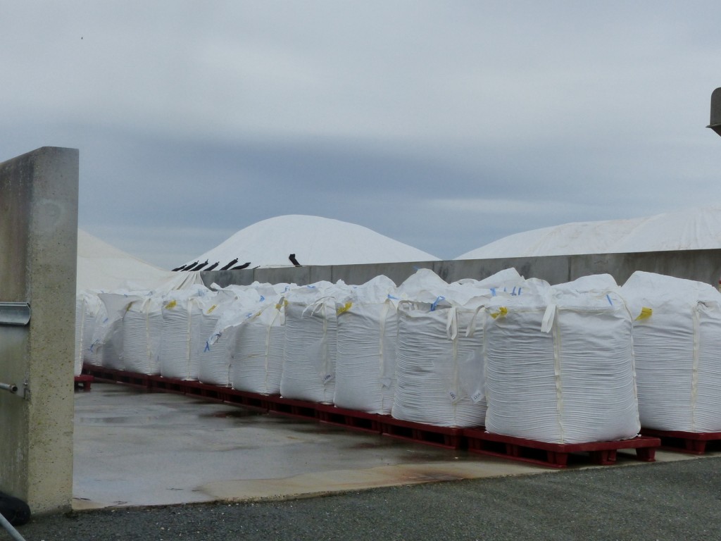 Coopérative des sauniers Ars-en-Ré - Récolte 2015