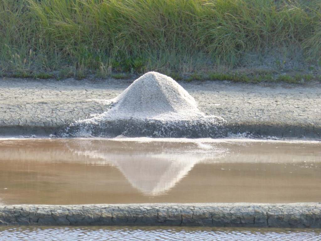 Ile de Ré - Marais salant - août 2015