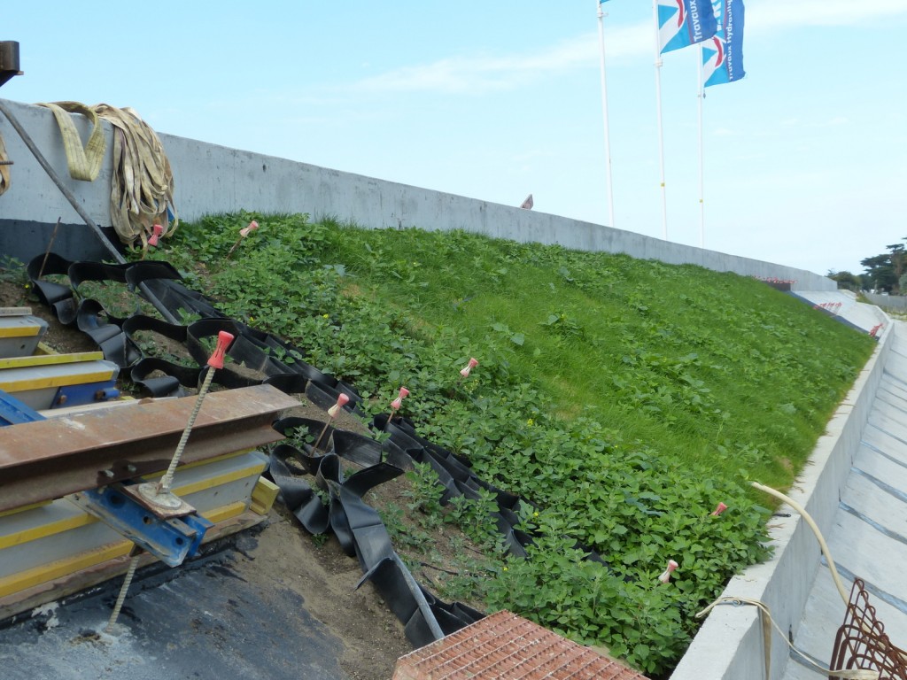 Test végétalisation digue du Boutillon - 7 juillet 2015