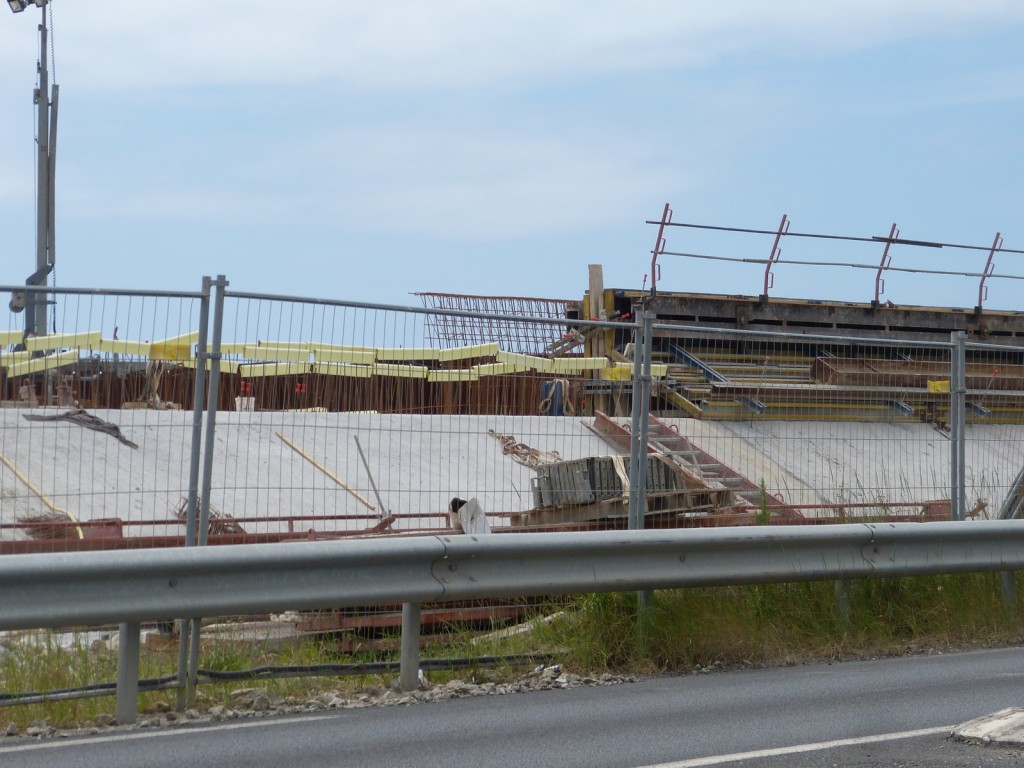 Test végétalisation digue du Boutillon - 11 juillet 2015