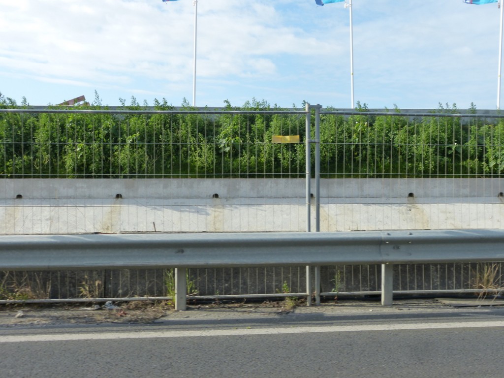 Test végétalisation digue du Boutillon - 28 juillet 2015