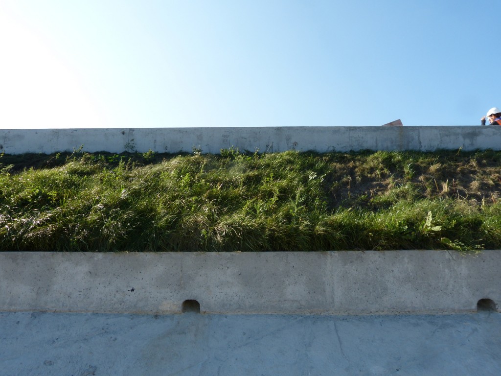 Test végétalisation digue du Boutillon - 8 septembre 2015