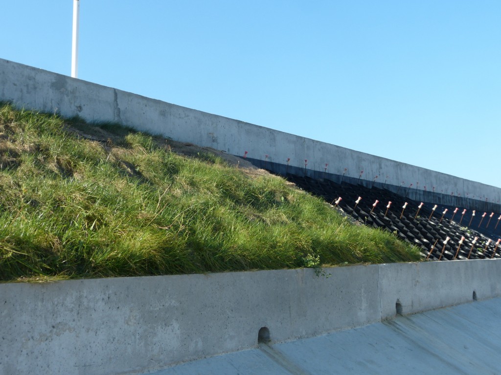 Test végétalisation digue du Boutillon - 8 septembre 2015