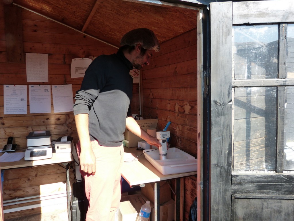 Charroi de sel de l'île de Ré - 8 septembre 2015