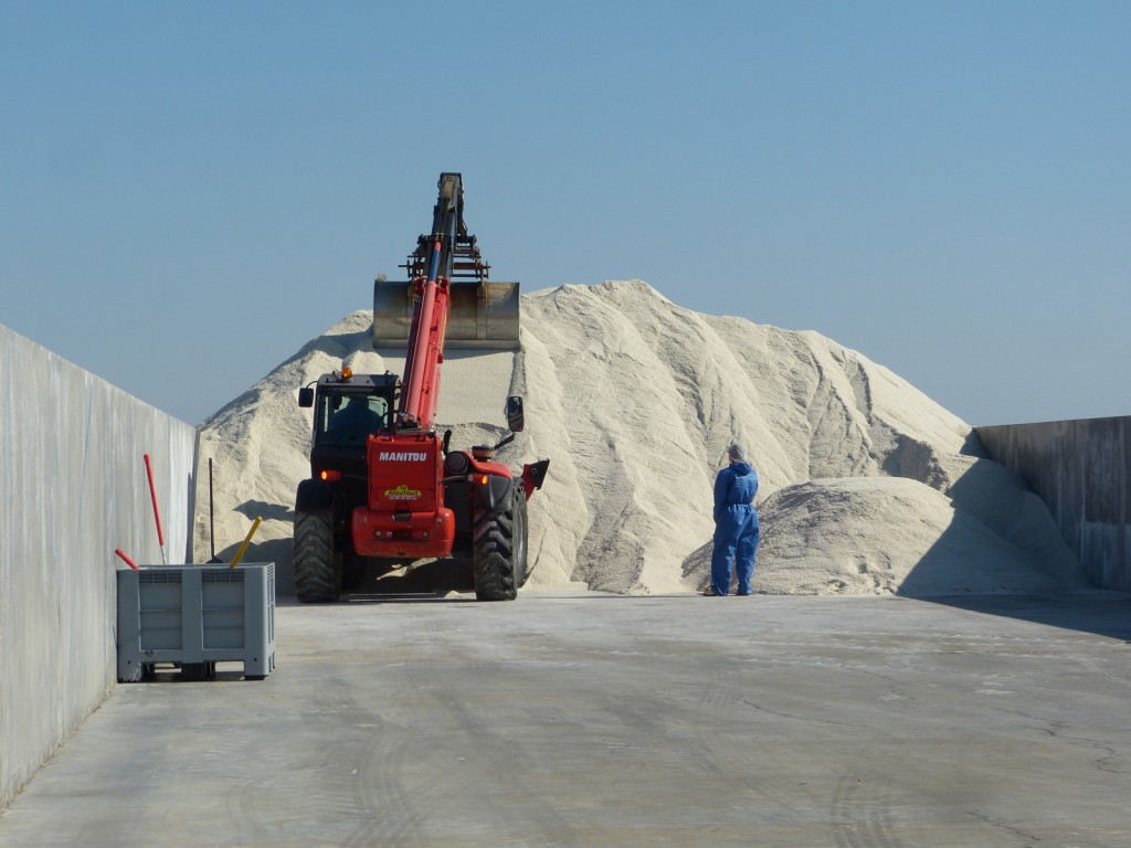 Charroi de sel de l'île de Ré - 8 septembre 2015