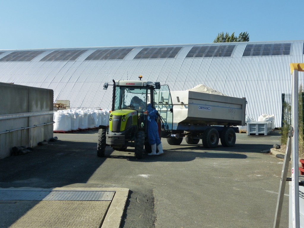 Charroi de sel de l'île de Ré - 8 septembre 2015