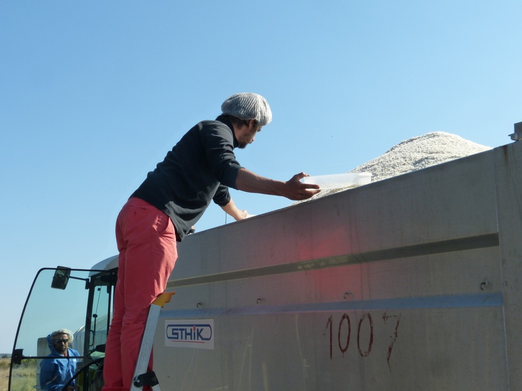 Charroi de sel de l'île de Ré - 8 septembre 2015