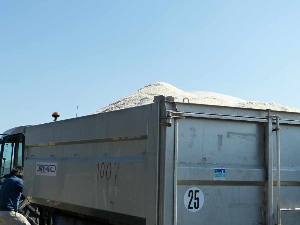 Charroi de sel de l'île de Ré - 8 septembre 2015