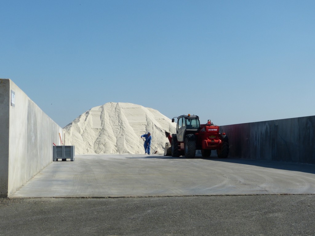Charroi de sel de l'île de Ré - 8 septembre 2015