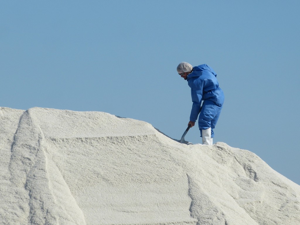 Charroi de sel de l'île de Ré - 8 septembre 2015