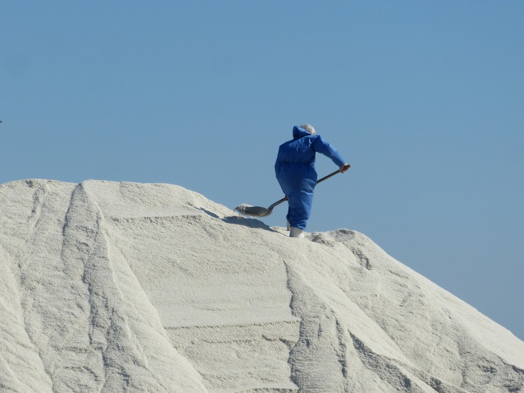 Charroi de sel de l'île de Ré - 8 septembre 2015