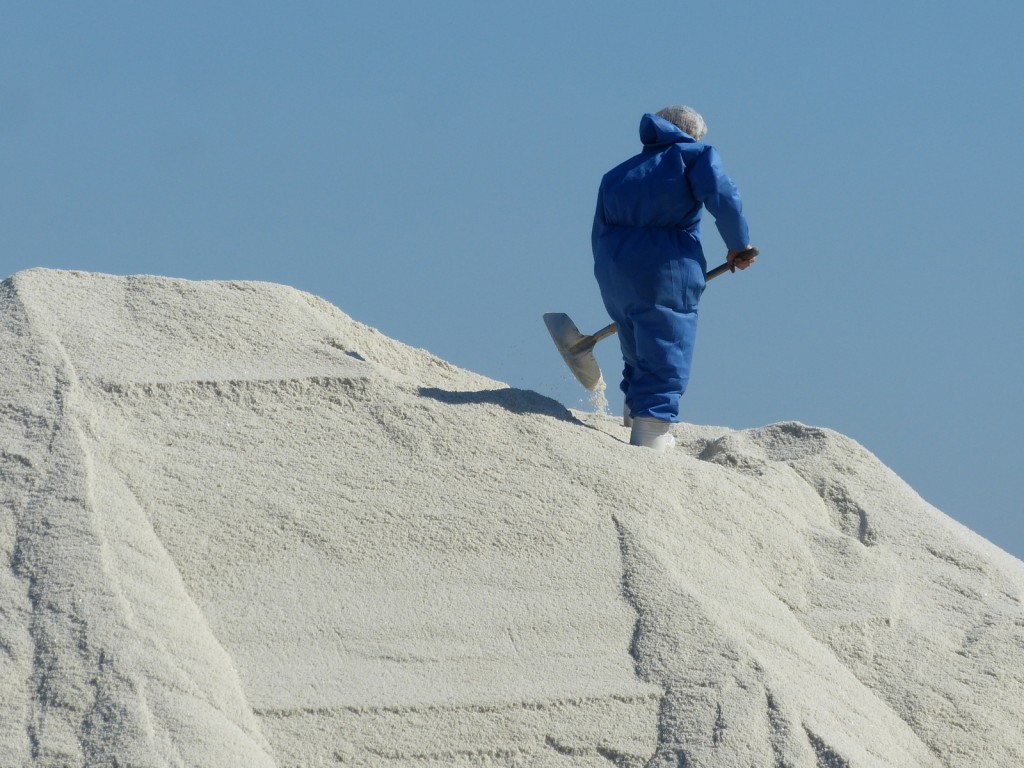 Charroi de sel de l'île de Ré - 8 septembre 2015