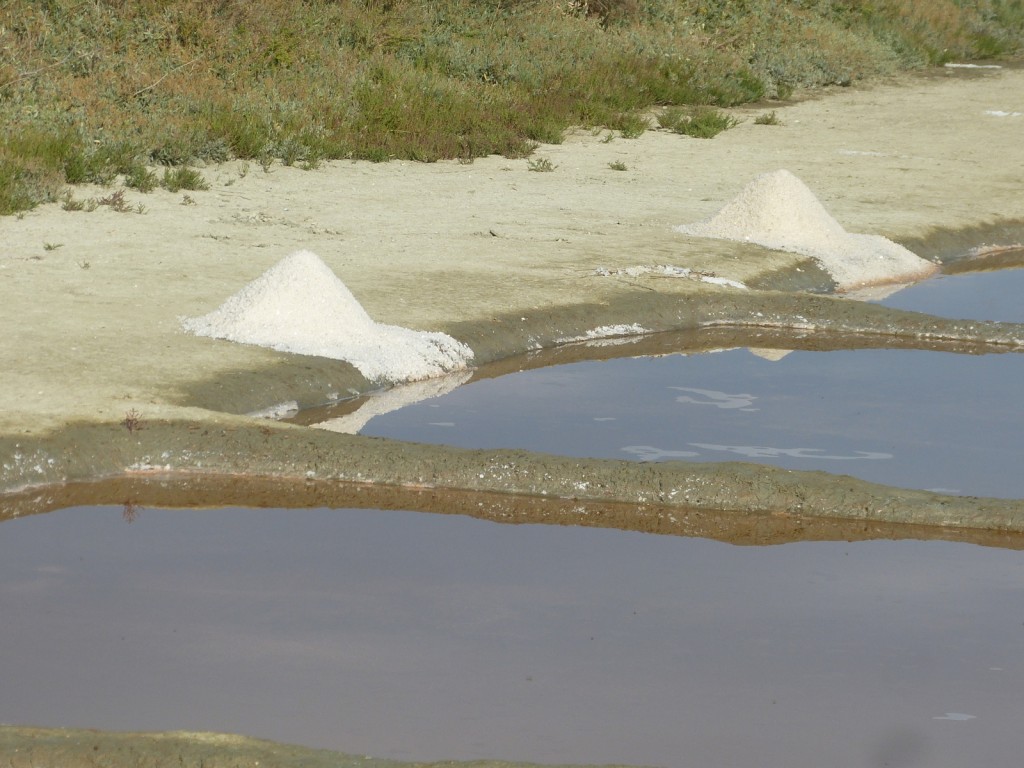 Gros sel sur marais de l'île de Ré - septembre 2015