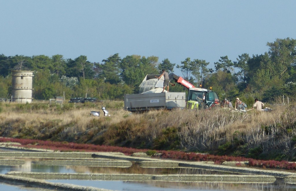 Saint-Clément - Charroi de sel - 10 septembre 2015
