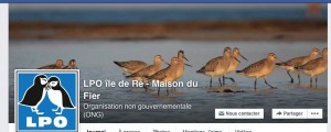 Facebook LPO Ile de Ré - Maison du Fier