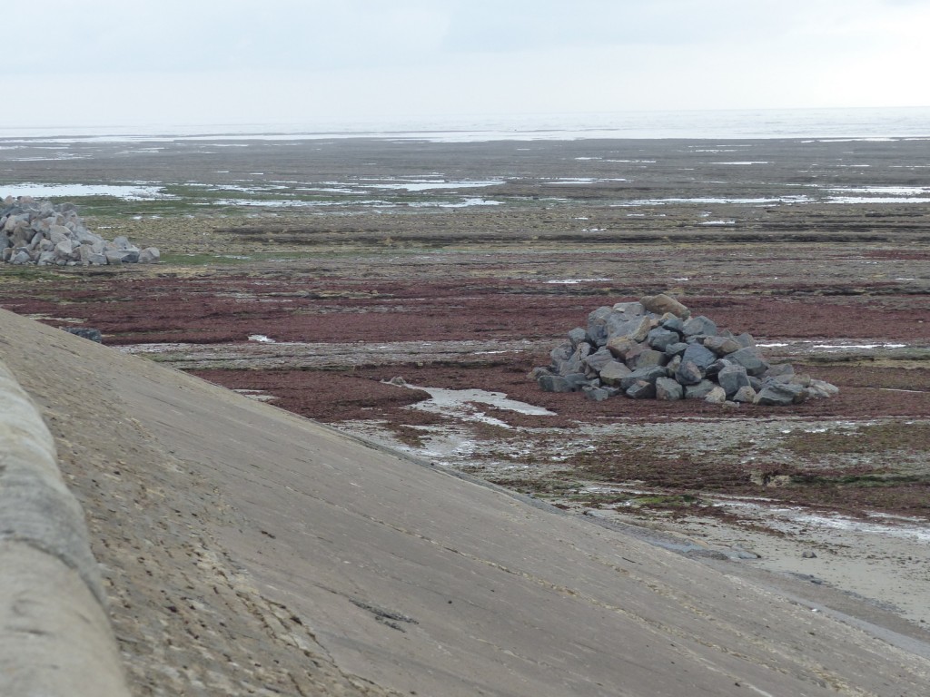 Saint-Clément - Digue des Doreaux - 1er décembre 2015