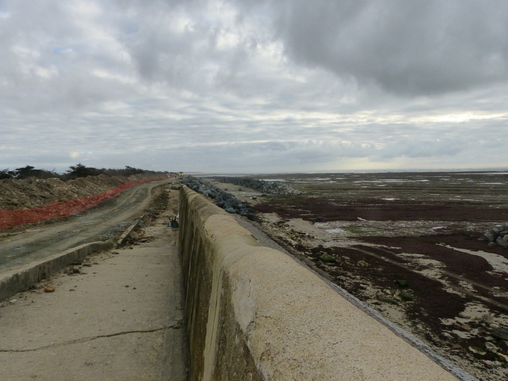 Saint-Clément - Digue des Doreaux - 1er décembre 2015