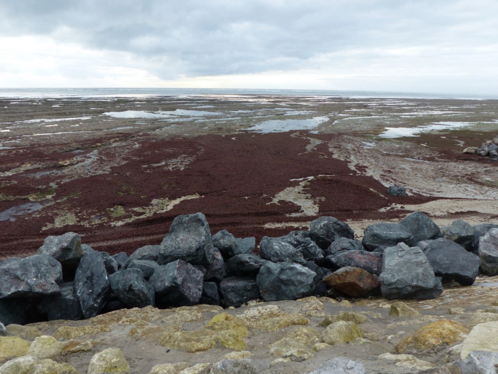 Saint-Clément - Digue des Doreaux - 1er décembre 2015