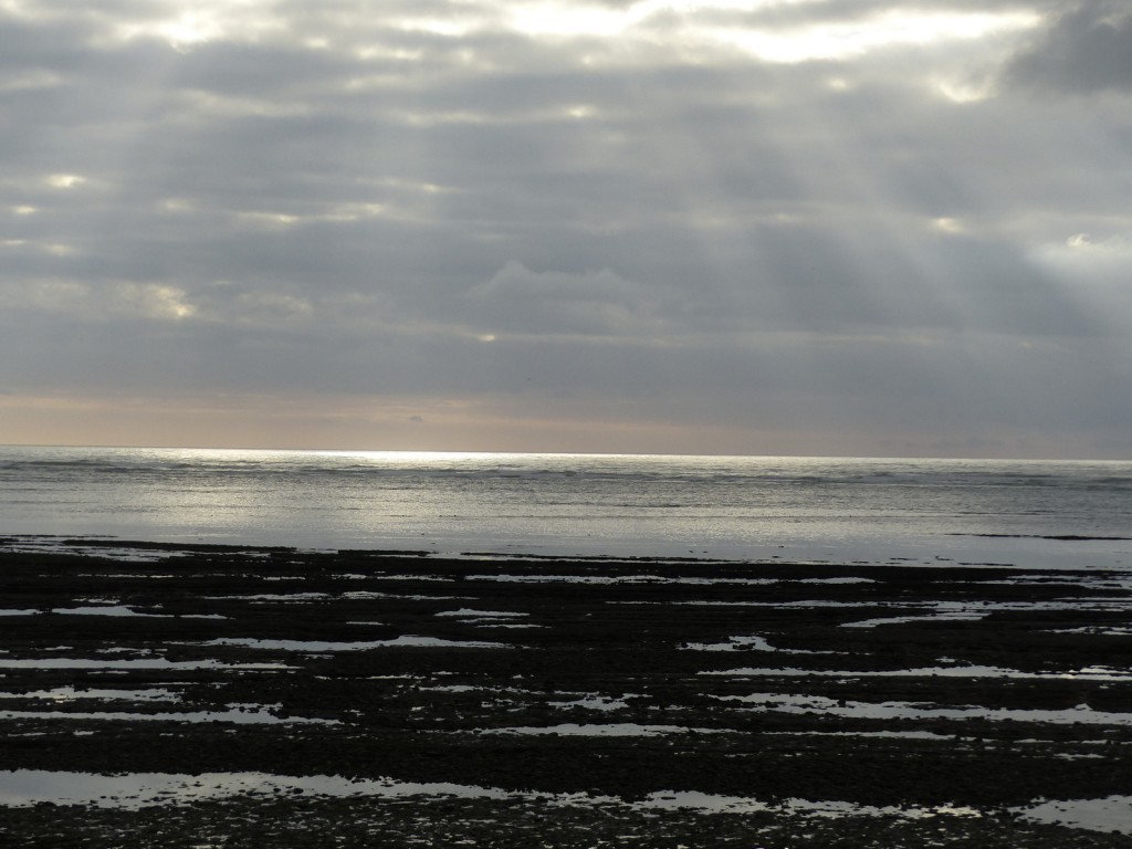 Saint-Clément - Digue des Doreaux - 1er décembre 2015