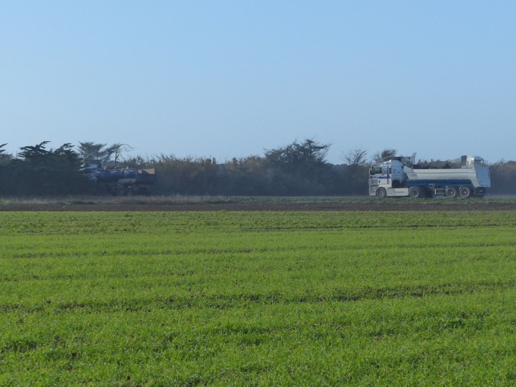 Saint-Clément - Digue des Doreaux - 8 décembre 2015