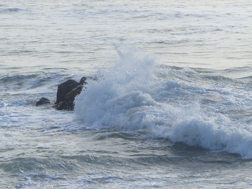 Saint-Clément - Digue des Doreaux - 8 décembre 2015