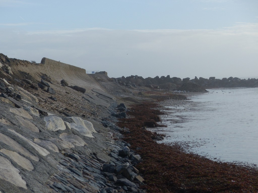 Saint-Clément - Digue des Doreaux - 8 décembre 2015