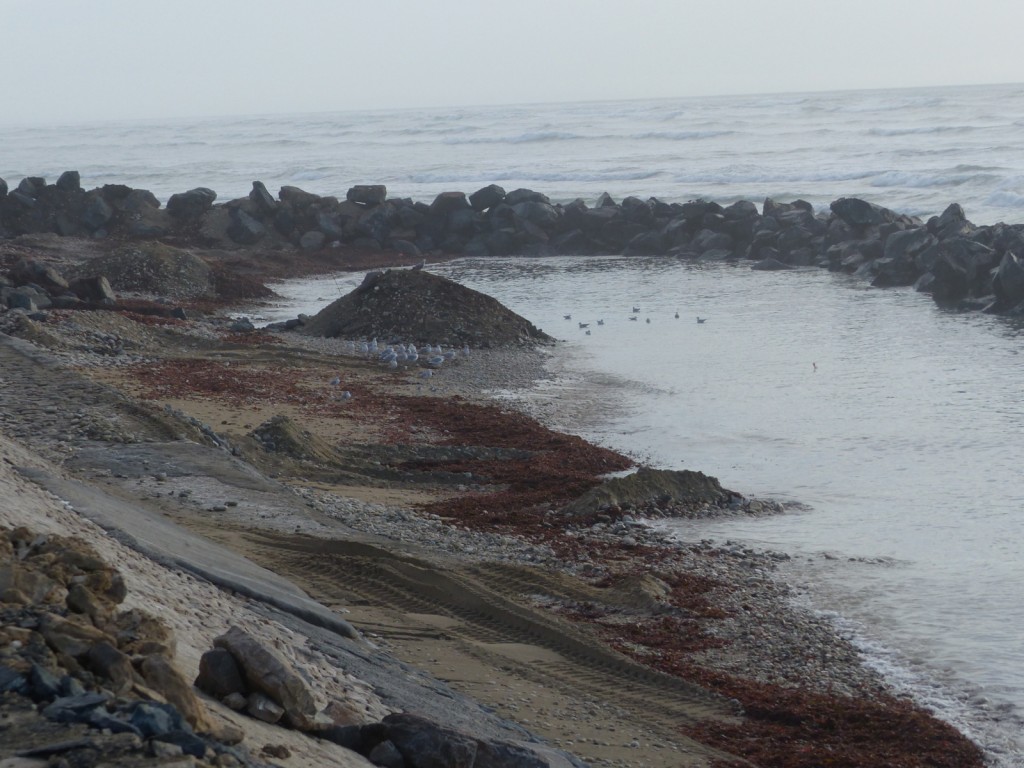 Saint-Clément - Digue des Doreaux - 8 décembre 2015