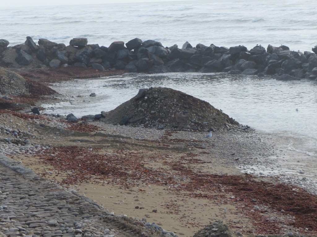 Saint-Clément - Digue des Doreaux - 8 décembre 2015