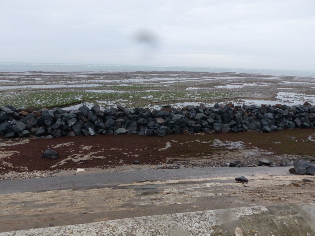 Saint-Clément - Digue des Doreaux - 15 décembre 2015