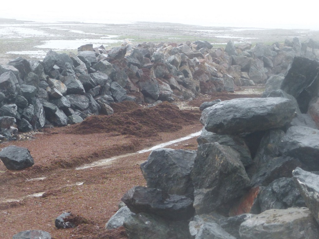 Saint-Clément - Digue des Doreaux - 15 décembre 2015