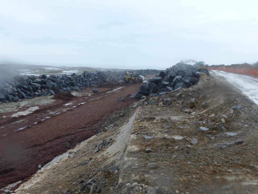 Saint-Clément - Digue des Doreaux - 15 décembre 2015
