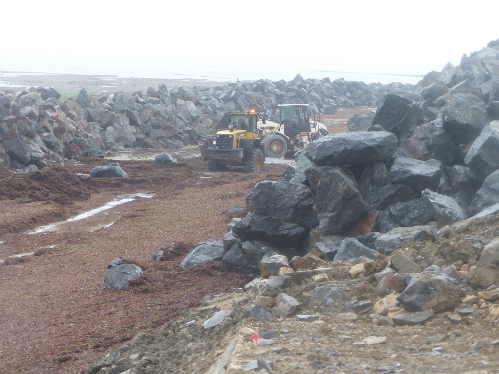 Saint-Clément - Digue des Doreaux - 15 décembre 2015