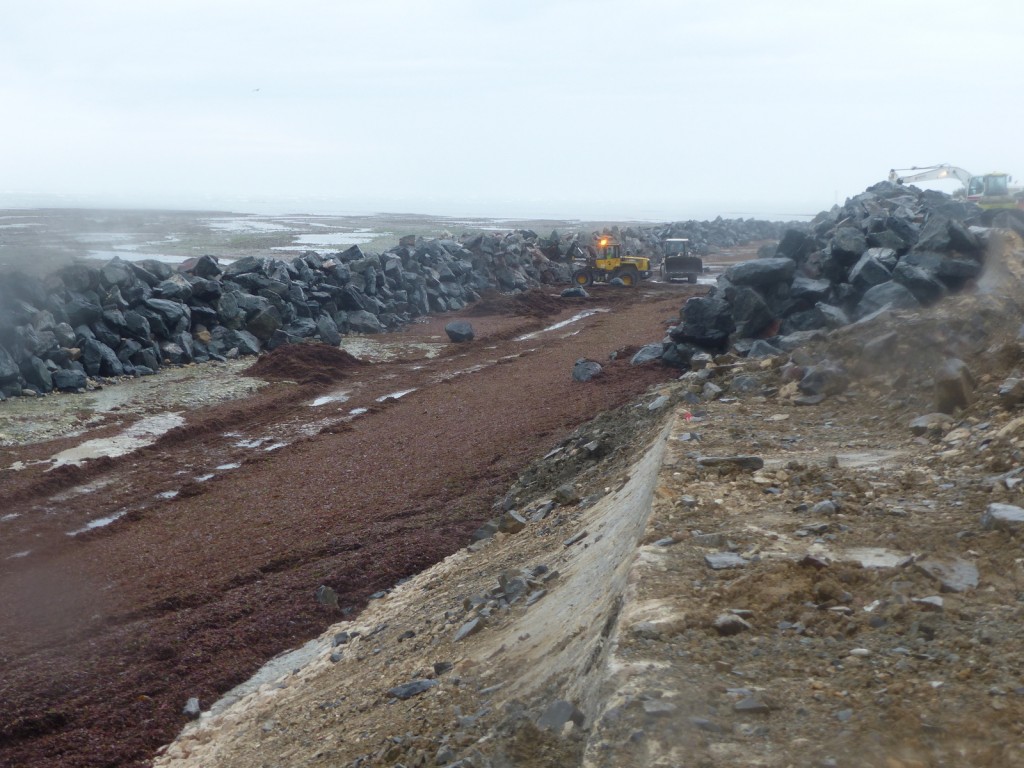 Saint-Clément - Digue des Doreaux - 15 décembre 2015