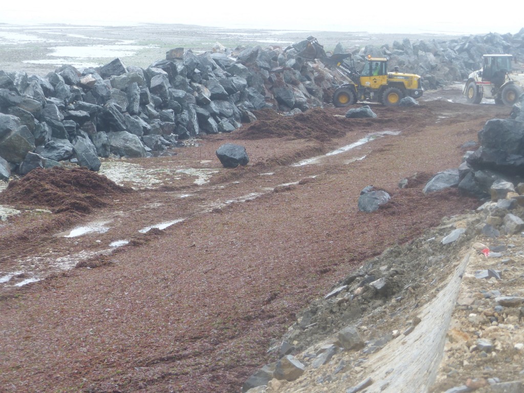 Saint-Clément - Digue des Doreaux - 15 décembre 2015