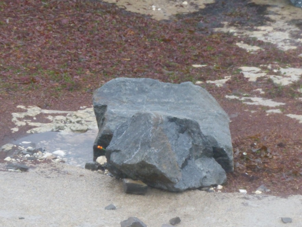 Saint-Clément - Digue des Doreaux - 15 décembre 2015
