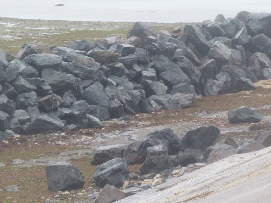 Saint-Clément - Digue des Doreaux - 15 décembre 2015